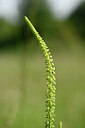 BUITEN BEELD Foto: 435284