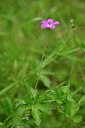 BUITEN BEELD Foto: 435288