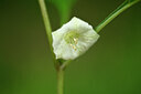 BUITEN BEELD Foto: 435292