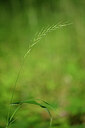 BUITEN BEELD Foto: 435293