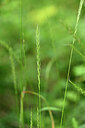 BUITEN BEELD Foto: 435294