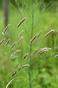 BUITEN BEELD Foto: 435298