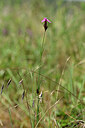 BUITEN BEELD Foto: 435299