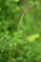 BUITEN BEELD Foto: 435301