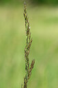 BUITEN BEELD Foto: 435303