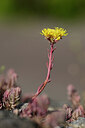 BUITEN BEELD Foto: 435307