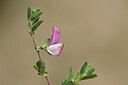 BUITEN BEELD Foto: 435309