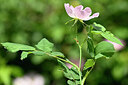 BUITEN BEELD Foto: 435310