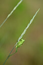 BUITEN BEELD Foto: 435312