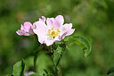 BUITEN BEELD Foto: 435314