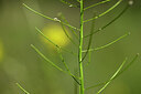 BUITEN BEELD Foto: 435316