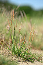 BUITEN BEELD Foto: 435317