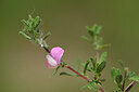 BUITEN BEELD Foto: 435318