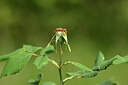 BUITEN BEELD Foto: 435320
