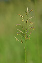 BUITEN BEELD Foto: 435321