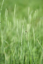 BUITEN BEELD Foto: 435322