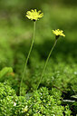 BUITEN BEELD Foto: 435323