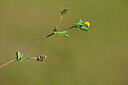 BUITEN BEELD Foto: 435325