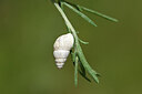 BUITEN BEELD Foto: 435328