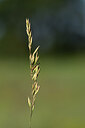 BUITEN BEELD Foto: 435329