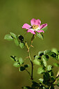 BUITEN BEELD Foto: 435331