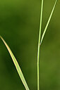 BUITEN BEELD Foto: 435335