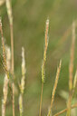 BUITEN BEELD Foto: 435337