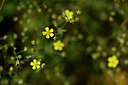 BUITEN BEELD Foto: 435338