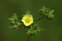 BUITEN BEELD Foto: 435340