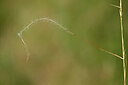 BUITEN BEELD Foto: 435341