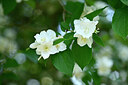 BUITEN BEELD Foto: 435342