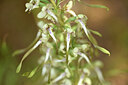 BUITEN BEELD Foto: 435344