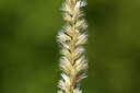 BUITEN BEELD Foto: 435346