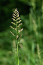 BUITEN BEELD Foto: 435347