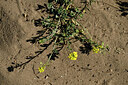 BUITEN BEELD Foto: 435356