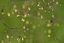 BUITEN BEELD Foto: 435357