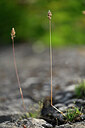 BUITEN BEELD Foto: 435358