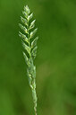 BUITEN BEELD Foto: 435360