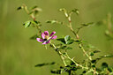 BUITEN BEELD Foto: 435364