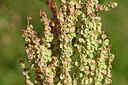 BUITEN BEELD Foto: 435366