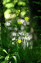 BUITEN BEELD Foto: 435369