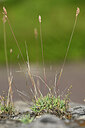 BUITEN BEELD Foto: 435374