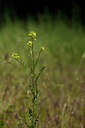 BUITEN BEELD Foto: 435375