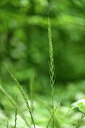 BUITEN BEELD Foto: 435376