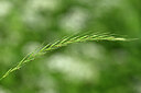 BUITEN BEELD Foto: 435377