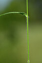 BUITEN BEELD Foto: 435380