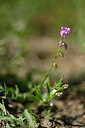 BUITEN BEELD Foto: 435385