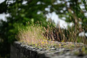 BUITEN BEELD Foto: 435386