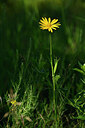 BUITEN BEELD Foto: 435389