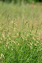 BUITEN BEELD Foto: 435392